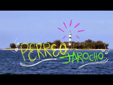 MIX PERREO JAROCHO VOL 1 (VIEJA ESCUELA)