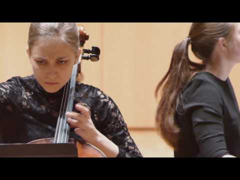 Beethoven - Duo Elsa