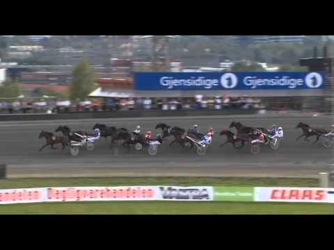 Finn Tack Norsk Travkriterium Norvege 2013_Papagayo E._V. Hop