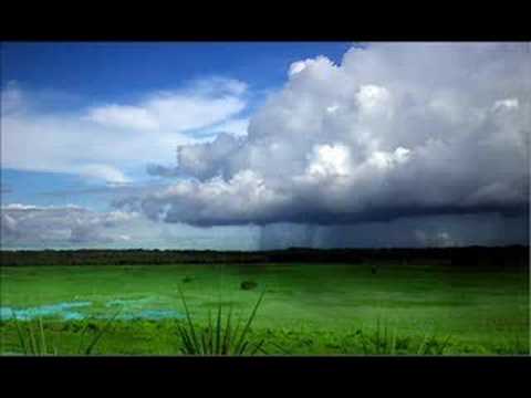 TRANCE VISIONS- Voca Me (Fear Force Remix)