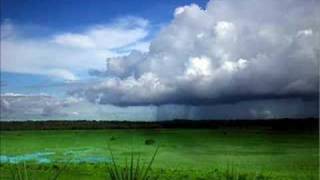 TRANCE VISIONS- Voca Me (Fear Force Remix)