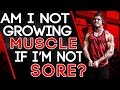 Am I Not Growing Muscle If I'm Not Sore? - A Guide ...
