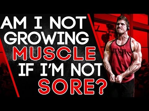 Muscular Strenght Title