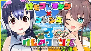 【けもフレ３】新キャラキジ当てるまでおわれません！【夏色まつり／#まつけぷ】