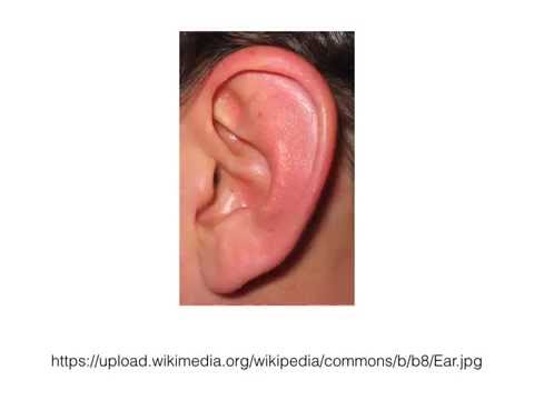 An Introduction to Electronic Music: Human Hearing