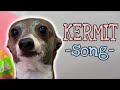 A Song For Kermit