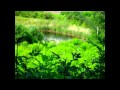 Questions Manfred Manns Earth Band.wmv 