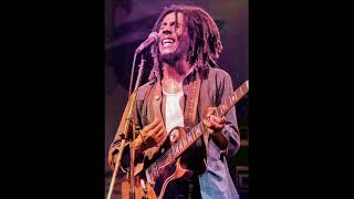 Marley Live! Deluxe 75 HD !! Slave Driver/Them Belly Full!!