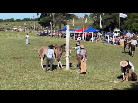 Rueda en Basto Oriental segunda parte. Colonia Cosmopolita, 19 de octubre 2025.