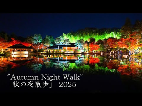 Showa Memorial Park's "Autumn Night Walk" was a masterpiece!