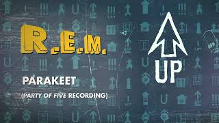 R.E.M. - Parakeet (Party Of Five Recording) - Official Visualizer / Up Deluxe Edition