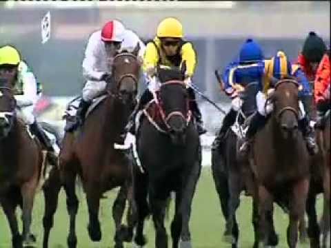 HORSE OF THE SEASON CHERRY ON THE TOP. Webcasting