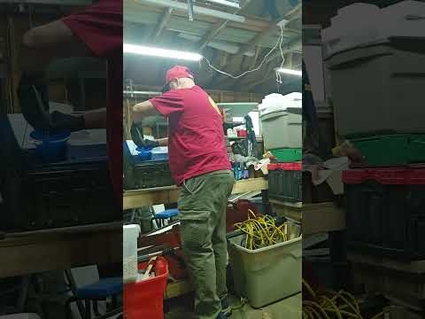 CF MOTO I27 generator/inverter winterizing and oil change