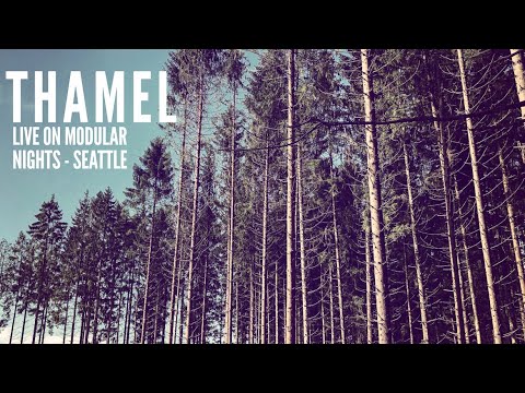 MODULAR SEATTLE LIVE SET - Ambient Modular Music - Make Noise Shared System, Novation Peak #eurorack