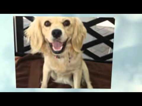 SeniorEntertainer.org  Family