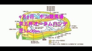 2019　京王杯オータムハンデ　予想