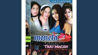 Download lagu Laguku mp3 Download lagu Laguku mp3