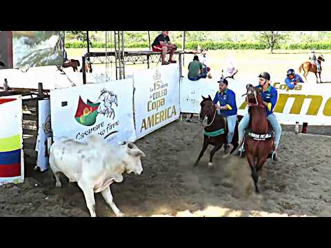 EL ORIGEN DEL COLEO EN LOS LLANOS