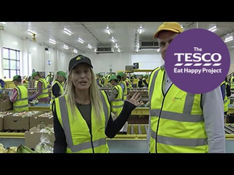 Brilliant Bananas: how bananas are packed