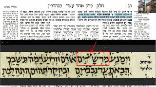 דף יומי מסכת סנהדרין דף קג Daf yomi Masechet Sanhedrin page 103  ע"י יוני גוטמן (שיעורי הדף היומי ב-20 דקות – מועבר ע"י ר' יוני גוטמן – לעילוי נשמת אביו ר' אלימלך צבי (צביקה) גוטמן ז"ל) - התמונה מוצגת ישירות מתוך אתר האינטרנט יוטיוב. זכויות היוצרים בתמונה שייכות ליוצרה. קישור קרדיט למקור התוכן נמצא בתוך דף הסרטון