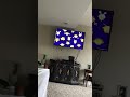 Opening To Arthur S Birthday 1999 VHS