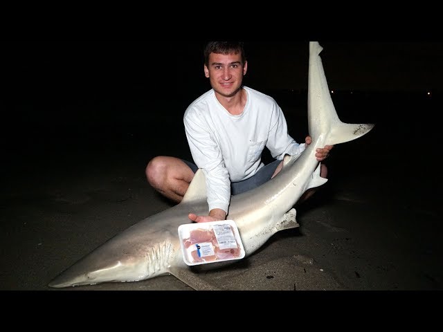 Will Sharks Eat Chicken? Shark Fishing CHALLENGE!