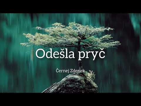 Černej Zdenek - Odešla pryč