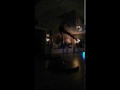 Von C Aerial Studio / Maeva G / Pole dance pau