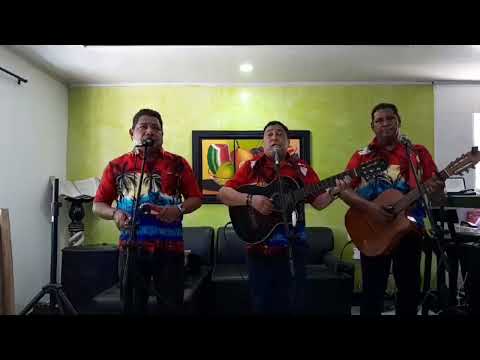 Rayito de Luna Bolero de la Autoria de  Chucho Navarro Trio Tercera Generacion