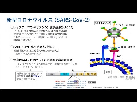 【ウィズ／アフターコロナ期をどう過ごすか－わかってきたバイオロジー、疫学、過ごし方】　パート１　金沢大学　市村宏教授　講演