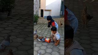 Download lagu si kembar menangkap burung merpati #shorts mp3 Download lagu si kembar menangkap burung merpati #shorts mp3