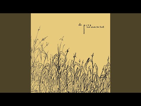 Follow You Home - The Pine