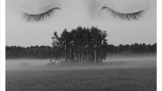 Broken social scene - Shampoo suicide