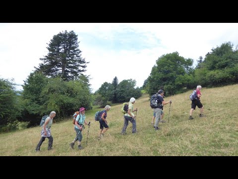 Rundwanderung ab St-Ursanne (JU) / 16.07.25