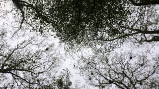 Conjure One - Tidal Pool