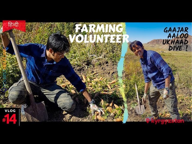 İngilizce'de Volunteers Video Telaffuz