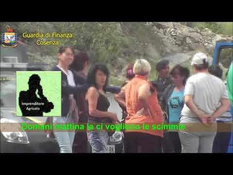 Caporalato e razzismo, 52 arresti tra Cosenza e Matera: "Le scimmie le mandiamo là"