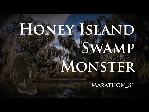download lagu mp3 mp4 Honey Island Swamp, download lagu Honey Island Swamp gratis, unduh video klip Honey Island Swamp
