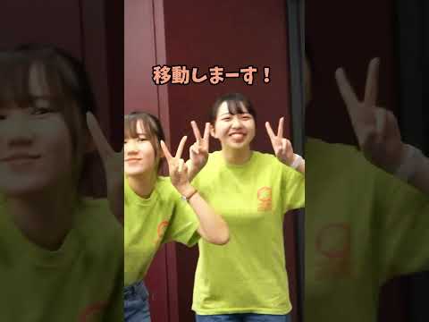 敬愛大学のオープンキャンパスの裏側！ part2  #大学生 #千葉市 #稲毛区 #大学受験