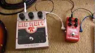 Bad Dog No Biscuit Gear Review