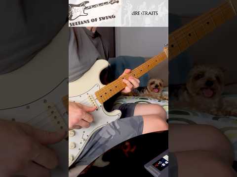 Sultans of Swing (final solo)