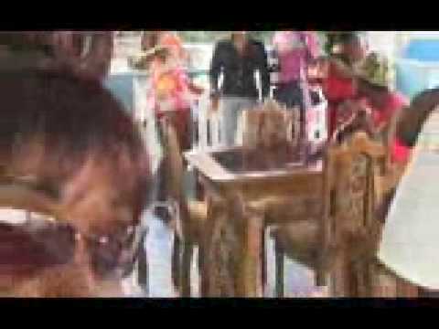 ruffi-ann -mi puttus (video)