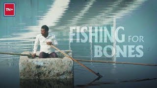 Fishing for bones Video