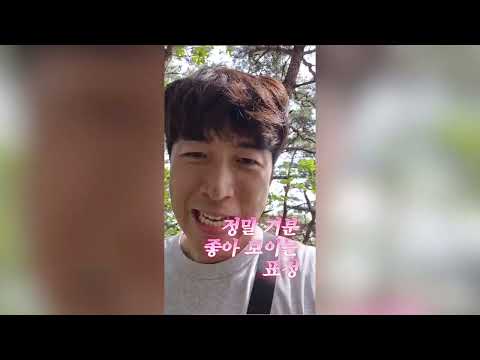 금성산 등산 ai가 시킴..