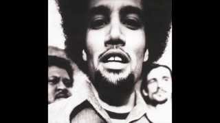 Ben Harper - The Will to Live