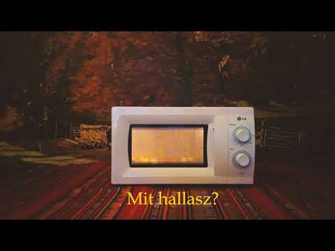 Somló Dávid: Áthallás