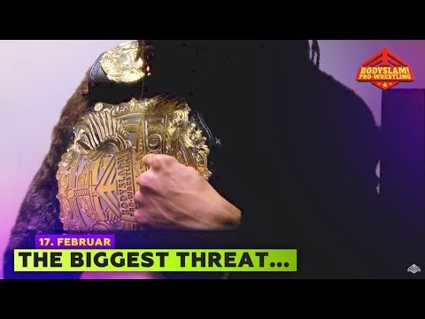 Michael Fynne addresses Brookes & Webster