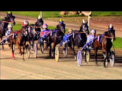 Victoria Park Wolvega 16-11-2013 KOERS 8 CAITLIN SCOTT - D.P. TESSELAAR