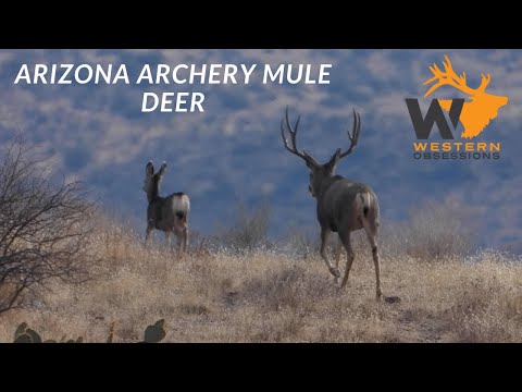 Arizona Mule Deer Hunt