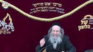 הרב אלימלך בידרמן - פרשת וארא תשפ"ב - התמונה מוצגת ישירות מתוך אתר האינטרנט יוטיוב. זכויות היוצרים בתמונה שייכות ליוצרה. קישור קרדיט למקור התוכן נמצא בתוך דף הסרטון